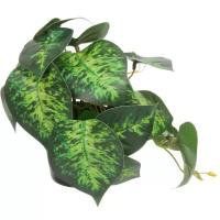 Цветок искусственный в горшке «Диффенбахия» 20*16см гладкий лист