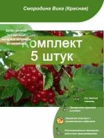 5шт / Смородина Вика (Красная) / Посадочный материал напрямую из питомника для вашего сада, огорода / Надежная и бережная упаковка