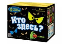 Батарея салютов Р7027 Кто Здесь? (0,7”х48)