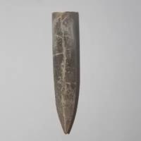 Белемнит ископаемое, чертов палец окаменелый древний малюск, коллекционный образец "True Stones"