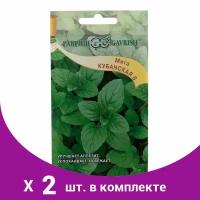 Семена Мята перечная 'Кубанская 6', 0,05 г (2 шт)