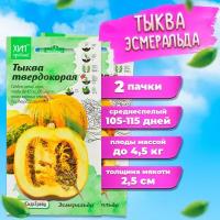 Семена тыквы твердокорая Эсмеральда для посадки