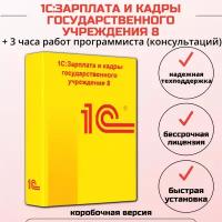 1С:Зарплата и кадры государственного учреждения 8. Базовая версия