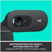 Web-камера Logitech C505e (960-001373), черный