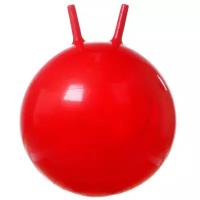 Мяч гимнастическими с рожками Action Club 878776, 60 см, красный