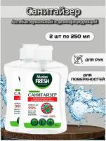 Антисептик санитайзер для рук и поверхностей Master Fresh 2 шт по 250 ml