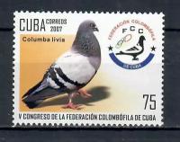 Почтовые марки Куба 2007г. "Пятый съезд Федерации кубинских голубей" Птицы, Голуби MNH