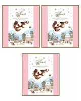 Шоколадные конфеты Ameri с начинкой пралине в новогодней упаковке, 250 г. - 3 шт