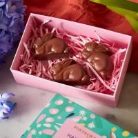 Набор шоколадных конфет Forntum&Mason Matchbox Bunnies 3 x 60г