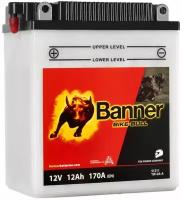 Аккумуляторная батарея BANNER BIKE Bull 12+элект YB12A-A 134х80х160 (ETN-512 011 012)