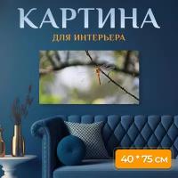 Картина на холсте "Крылья, стрекоза, насекомое" на подрамнике 75х40 см. для интерьера