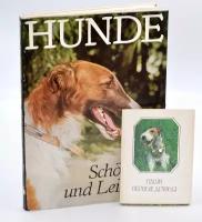 Собаки: красота и работоспособность (Hunde: schonheit und leistung). Наши верные друзья (комплект из книги и набора открыток в подарок)