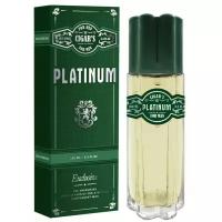 Today Parfum Cigar's Platinum, 100 мл, Туалетная вода