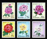 Почтовые марки Северная Корея 1979г. "Розы" Цветы MNH