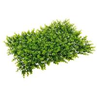 Nobilis Marco Plants Самшит трава искусственная 40х60 см