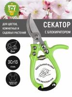 GARDEN SHOW Секатор для цветов, с блокиратором, L15,5 см, салатовый