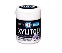 Жевательная резинка XYLITOL Blackberry mint gum 143 гр