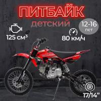 Питбайк GS Motors S12 17/14 красный