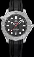 Наручные часы Omega Seamaster 21032422001002