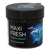 Ароматизатор на панель MaxiFresh CMF-120 Marine Squash/Морской сквош