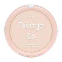 Устойчивая матирующая пудра для лица | 1 Fair Divage True Color Matte Powder