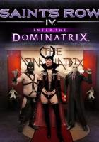 Saints Row IV Enter The Dominatrix DLC (Steam; PC; Регион активации Не для РФ)