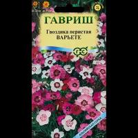 Семена цветов Гавриш гвоздика Перистая варьете микс