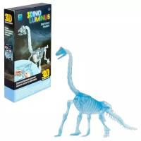 Сборная модель 1TOY 3DINO LUMINUS люминисцентный скелет динозавра