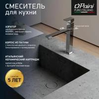 Смеситель для кухни Paini Dax-R с высоким поворотным изливом, хром