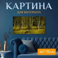 Картина на холсте "Березовый лес, пейзаж, лес" на подрамнике 75х40 см. для интерьера