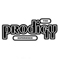 The Prodigy – Experience