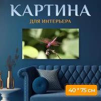 Картина на холсте "Стрекоза, крылья, насекомое" на подрамнике 75х40 см. для интерьера