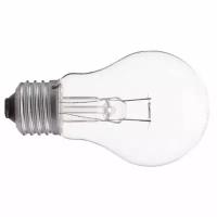 Лампа накаливания местного освещения Лисма МО 12-60