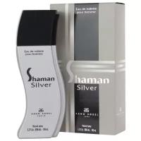 Arno Sorel Shaman Silver, 100 мл, Туалетная вода