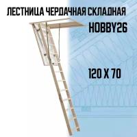 Лестница чердачная складная Dolle HOBBY 26 (70х120х285 см)