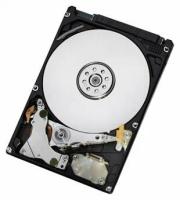 Жесткий диск HGST 500Gb (HTS547550A9E384)