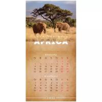 Календарь настенный OfficeSpace перекидной, на скрепке, 20*20 см, 6 листов, "Africa", 2021 год
