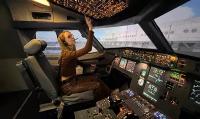 Сертификат Полет на авиатренажере самолета Airbus A320 в Москве, 60 минут для 1-4 чел. (Москва)