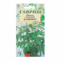 Семена комнатных цветов "Гавриш" Мимоза стыдливая "Кампина", Мн., 0,1 г./В упаковке шт: 3