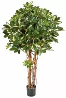 Искусственное дерево TREEZ COLLECTION Шеффлера зонтичная пестрая 140 см цвет: Зеленый