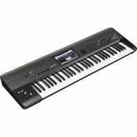 Синтезаторы KORG CONFIDENTIAL KROME-61 EX