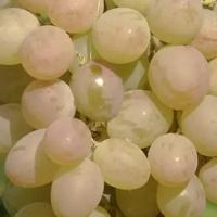 Виноград плодовый Аист (3 года)