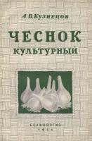 Чеснок культурный