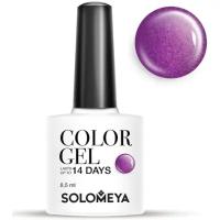 Гель-лак для ногтей Solomeya Color Gel PegASUS 8,5 мл