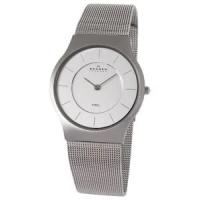 Наручные часы Skagen 233LSS