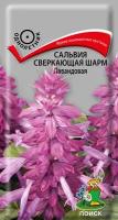 Семена Сальвия сверкающая Шарм Лавандовая однолетние 0,1 гр