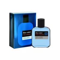 Delta Parfum Pro Energy Blue Cobalt туалетная вода 100 мл для мужчин