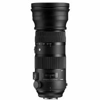 Sigma AF 150-600mm f/5.0-6.3 DG OS HSM