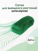 Шпалера для огурцов / Сетка шпалерная / Сетка для огурцов / Шпалера для гороха / Сетка для гороха