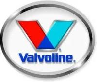 VALVOLINE VE20040 Антикор Valvoline TECTYL BODYSAFE 5л